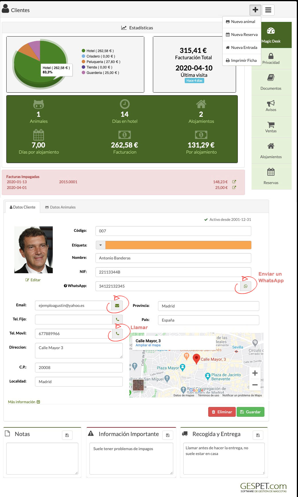 rentabilidad hotel gatos