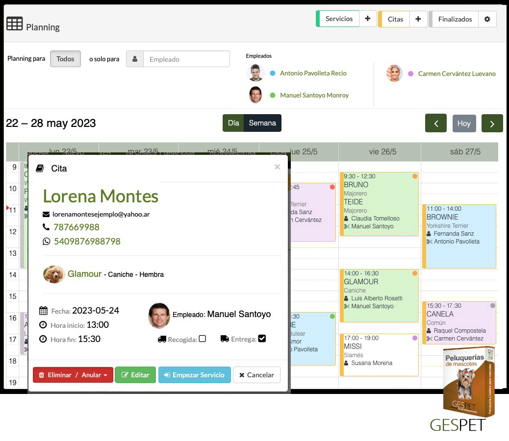 rentabilidad hotel gatos