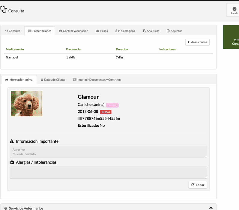 rentabilidad hotel gatos