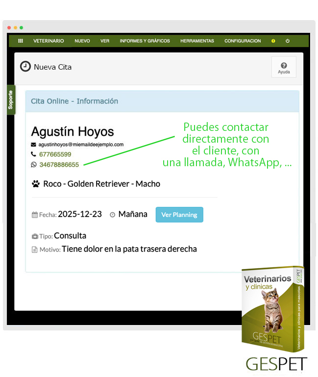 rentabilidad hotel gatos