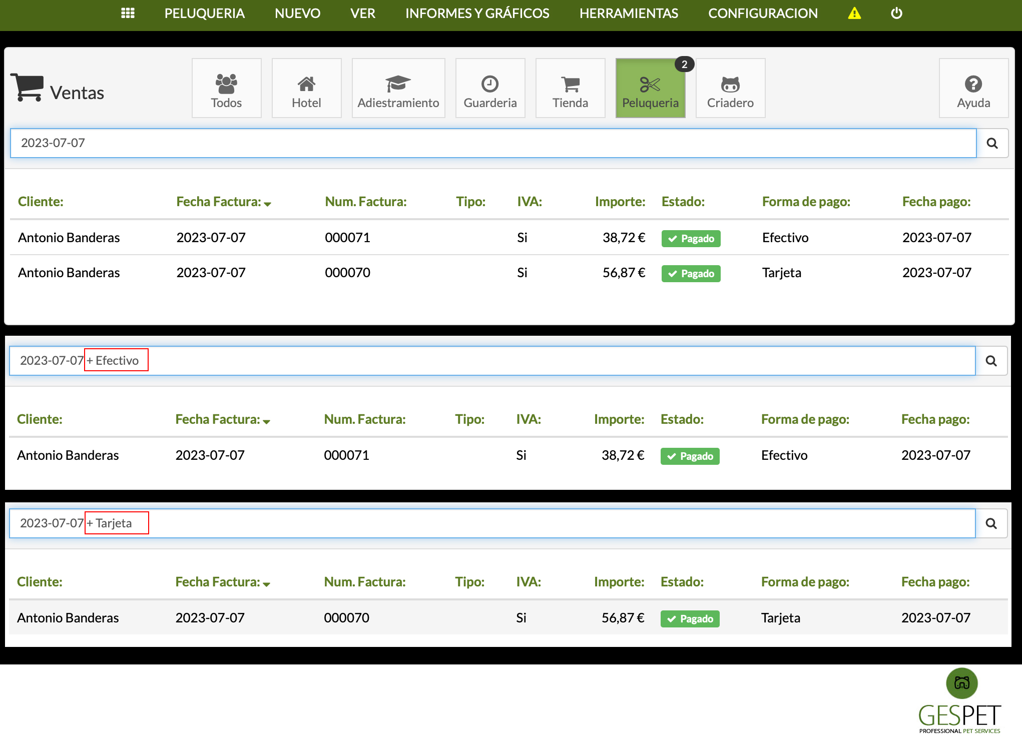 maskoten salmentak ordainketa-metodoaren arabera iragaztea