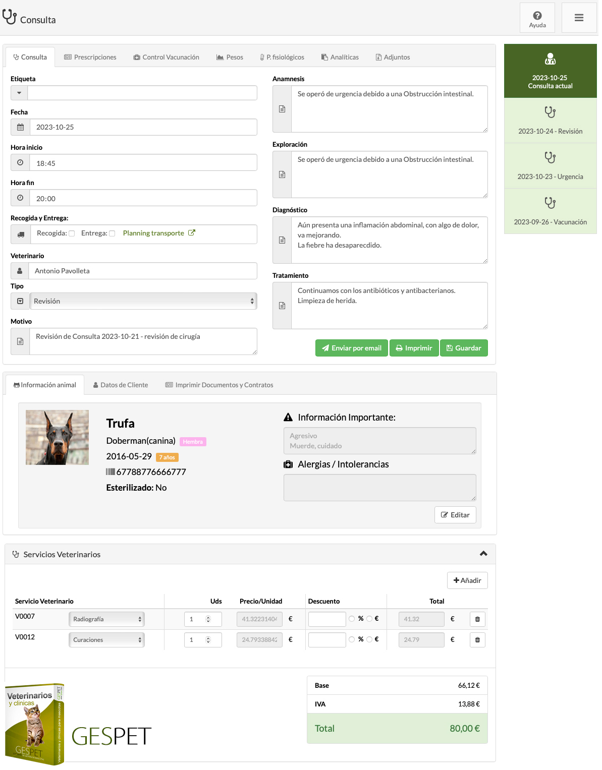 rentabilidad hotel gatos