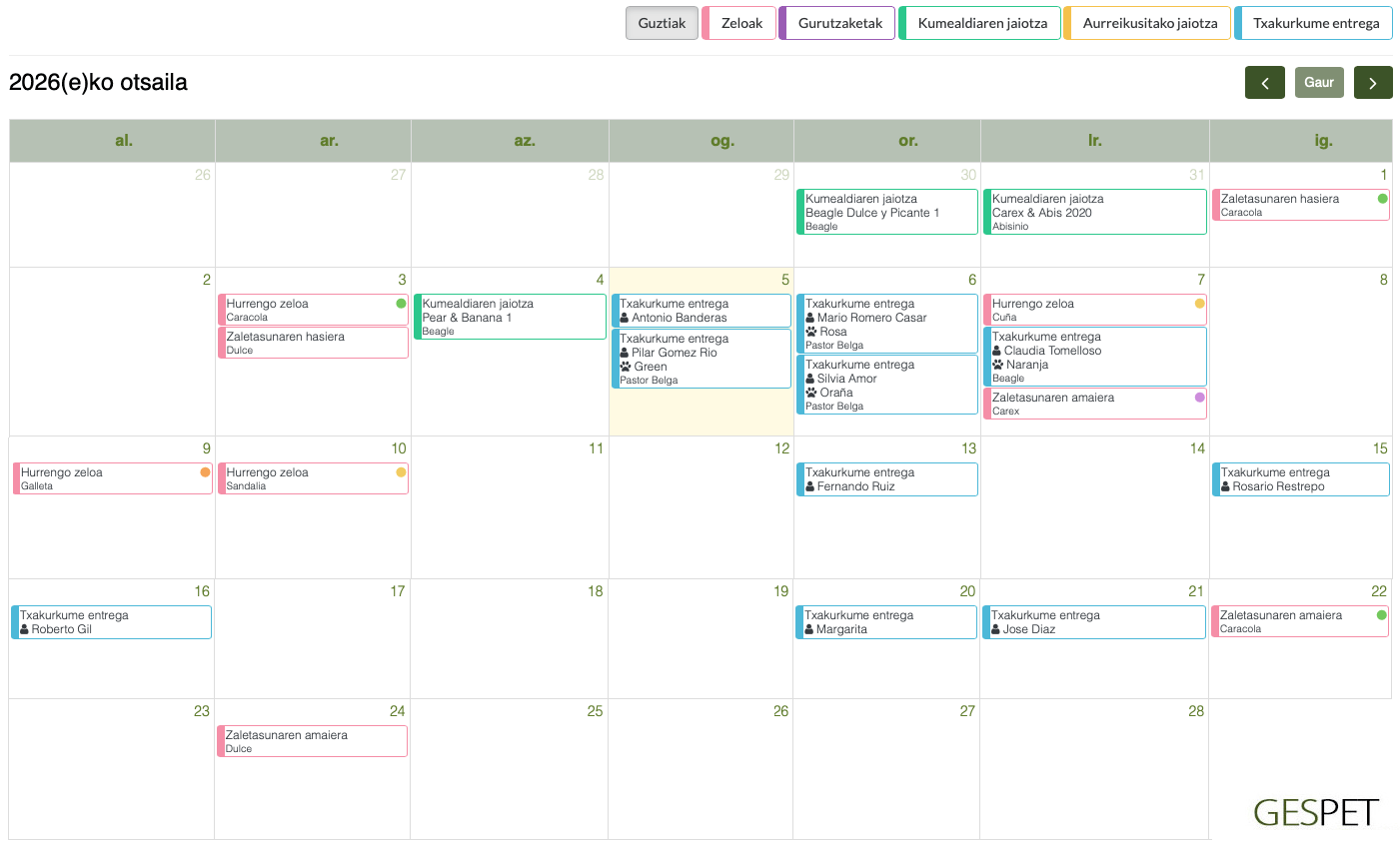 Hazleen software profesionala: genealogia, ahaidetasuna eta kumaldiak