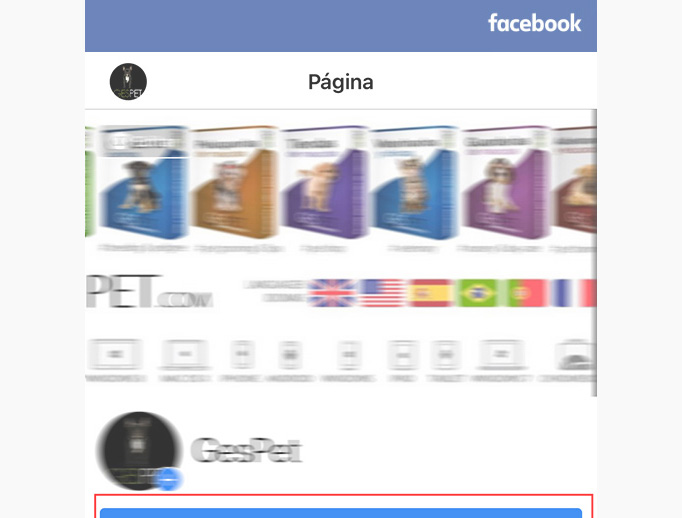 agenda residencia animales