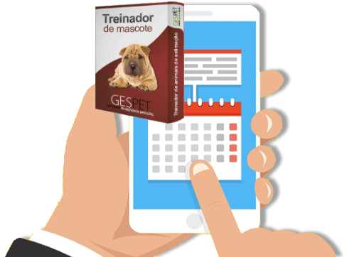 lembrete automatico treinador animais