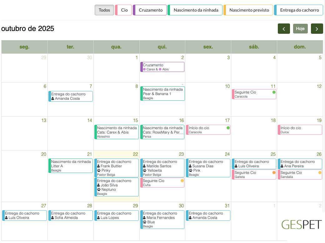 planejador para criadores