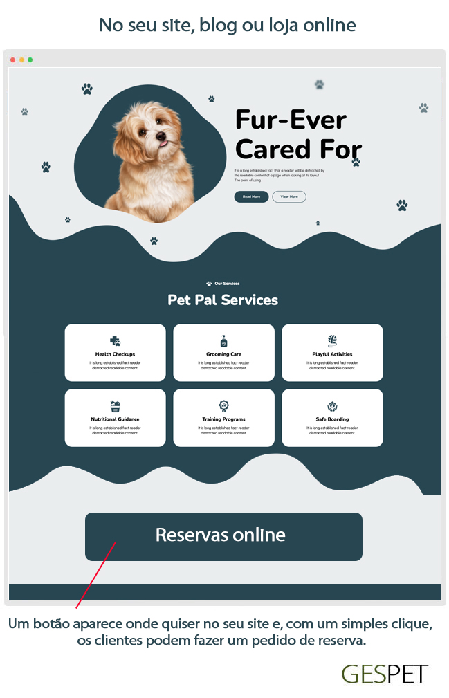 rentabilidad hotel gatos